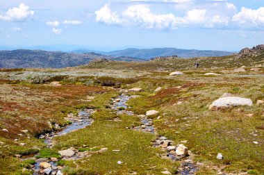 Karlı dağlar yayla - Thredbo 
