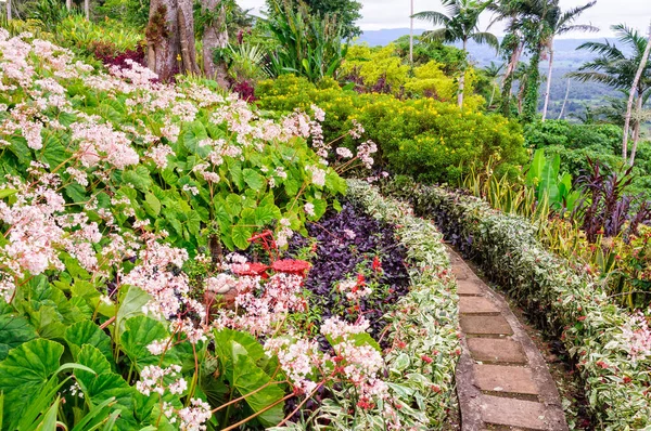 Zirve bahçeler - Port Vila — Stok fotoğraf