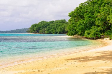 Beach - Espiritu Santo