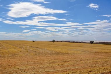 Hasat sonrası - deniz Gölü