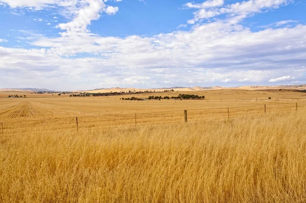 Farm land - Burra — Stock Photo, Image