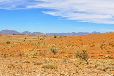 Stokes Hill uyanık - Wilpena Lirası görünümünden