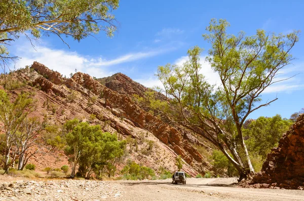 Brachina Gorge - Wilpena Lirası