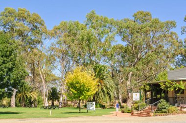 Peter Lehmann şaraplar - Barossa Valley