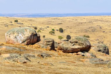 Mera - Güney Avustralya