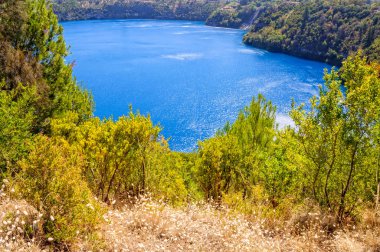 Çalı - Mount Gambier