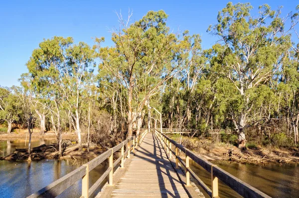 Lagoa da ferradura - Moama — Fotografia de Stock