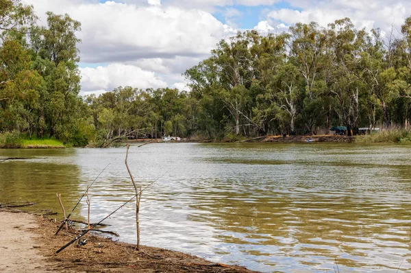 Pesca - Parque Nacional de Barmah — Fotografia de Stock