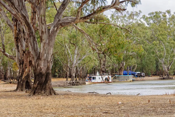 Acampar - Parque Nacional de Barmah — Fotografia de Stock