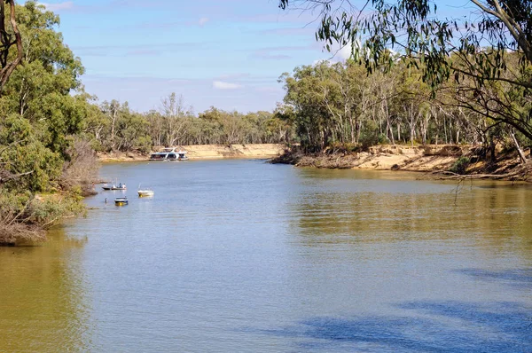 Murray River - Barmah — Foto Stock