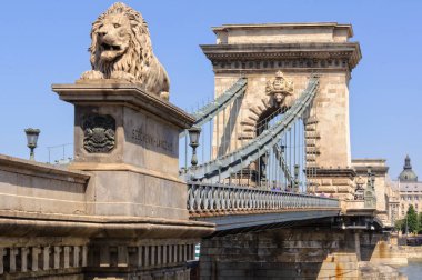 Koruyucu aslan - Budapeşte