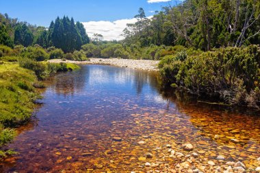 Ronny Creek - Cradle Mountain