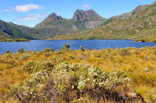 Cradle Mountain i Dove jeziora - Tasmania — Zdjęcie stockowe