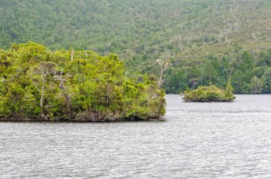Güvercin Gölü - Cradle Mountain