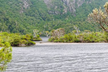 Güvercin Gölü - Cradle Mountain