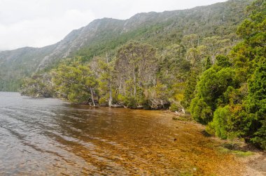 Güvercin Gölü - Cradle Mountain