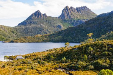 Cradle Mountain ve güvercin Gölü - Tazmanya