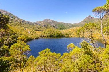 Göl Lilla - Cradle Mountain
