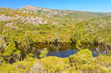 Wombat havuzu - Cradle Mountain