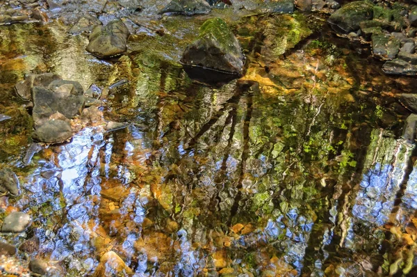 Réflexion dans le fleuve Nelson - Tasmanie — Photo