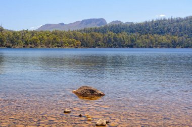Lake St Clair - Tazmanya