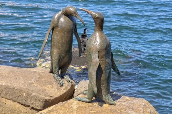 Scuptures de pingouin sur le front de mer - Hobart — Photo