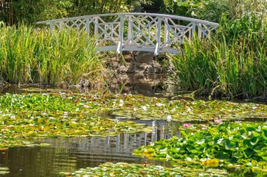 Yaya Köprüsü üzerinde Lily Pond - Hobart