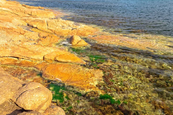 Colourful canvas of nature - Coles Bay