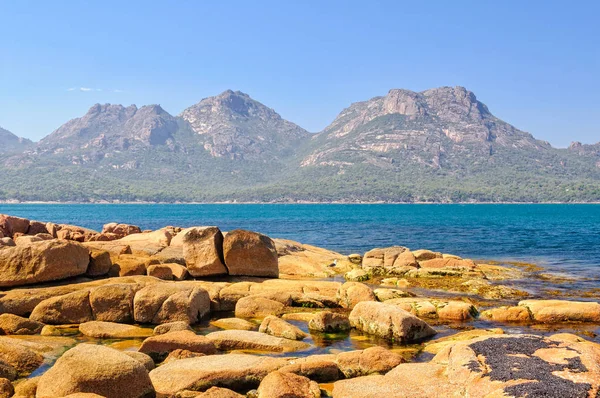 Zagrożenia - Park Narodowy Freycineta — Zdjęcie stockowe