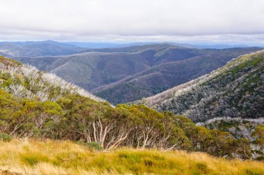 Victoria Alp bölgesi Victoria - Hotham yükseklikleri