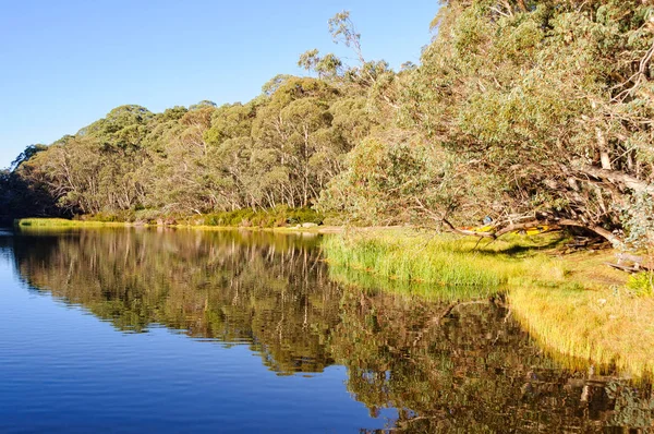 Lake Catani - Mount Buffalo — Stok fotoğraf