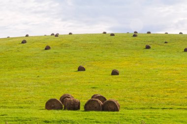 Saman balya - Holloko