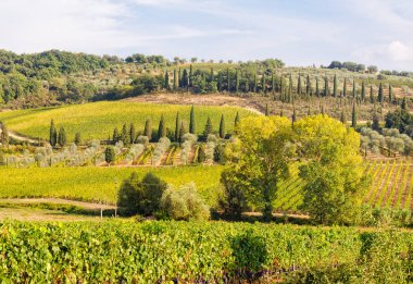 Tuscan kırsal - Montalcino