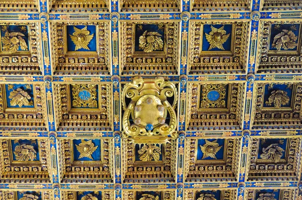 Wooden vault - Pisa — Stock Photo, Image