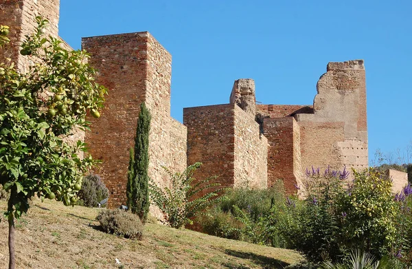 Walls of Alcazaba - Malaga — Stock Photo, Image