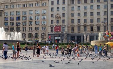 Güvercin - Barcelona besleme