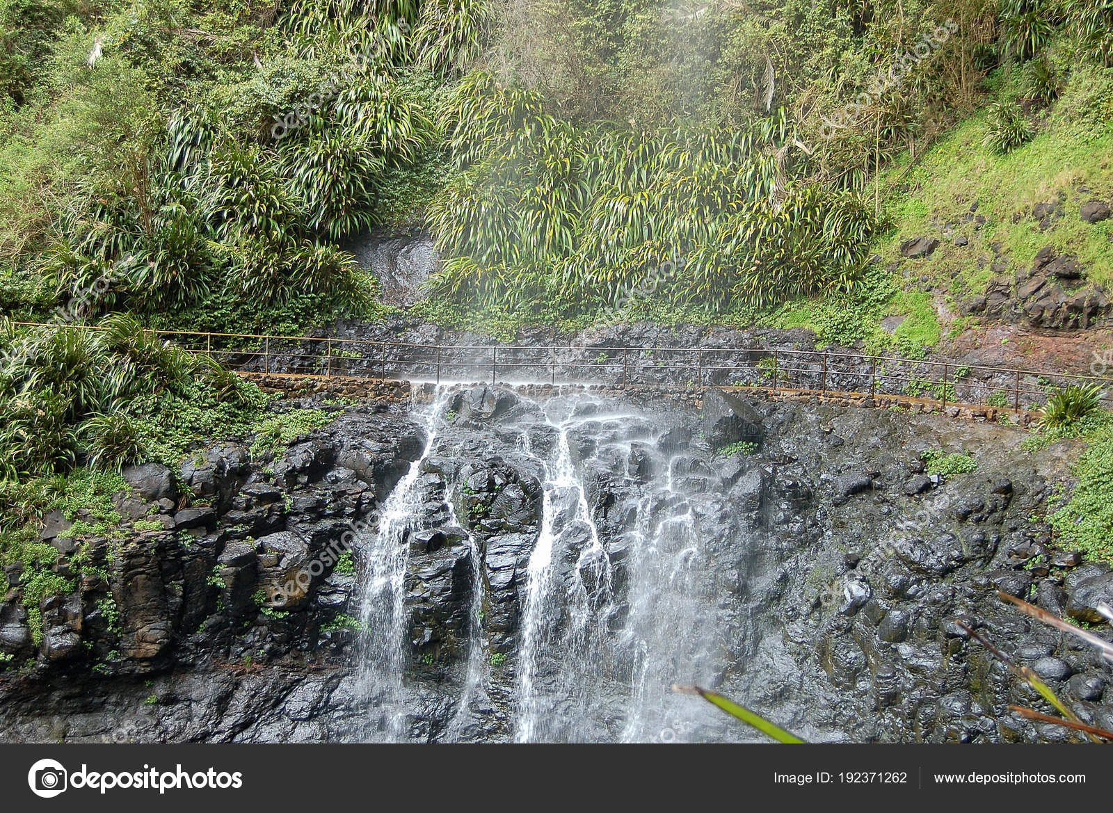 Purling Brook Falls Springbrook Stock Photo C Lkonya Optusnet