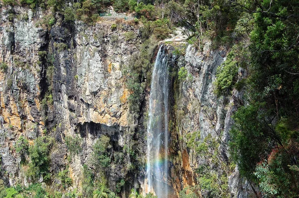 Murmurante arroyo cataratas - Springbrook — Foto de Stock