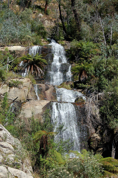 Fainter Falls - Bogong