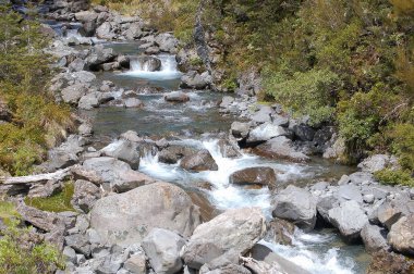 Devil's Punchbowl Creek - Arthur's Pass