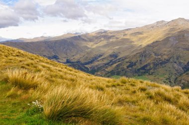 Taç aralığı - Queenstown