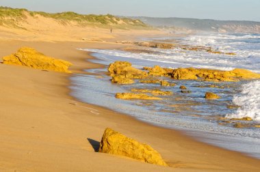 St Andrews Beach - çavdar