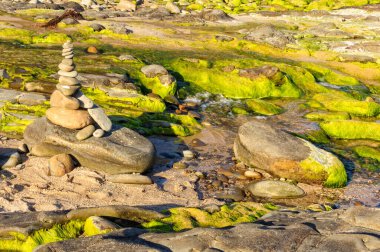 Carisbrook Deresi - Wongarra