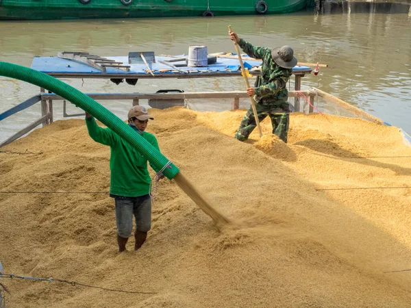 Dos Trabajadores Cargan Arroz Bpat Delta Del Río Mekong Phong — Foto de Stock
