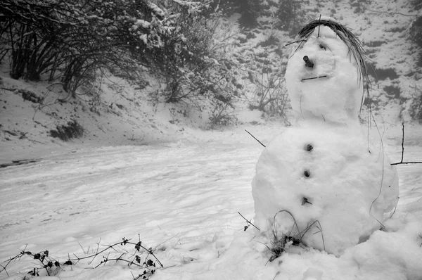 Huiselijke gelukkig kerst sneeuwpop — Stockfoto