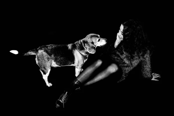 Sorridente ragazza con il suo cane beagle — Foto Stock