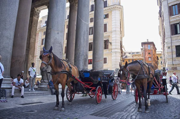 Trøtt, trist hest som venter på turister – stockfoto