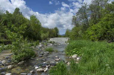 Brogliano (VI) yakınlarındaki Agno deresi, İtalya