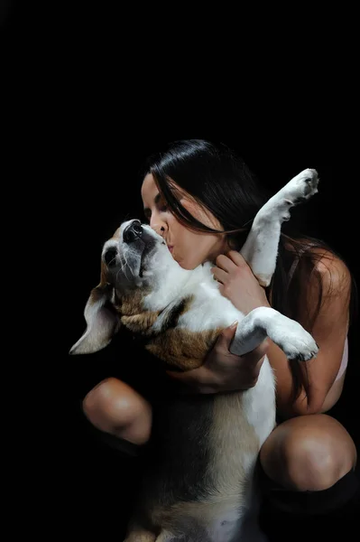 セクシー女の子接吻彼女のビーグル犬オンザ黒背景 — ストック写真