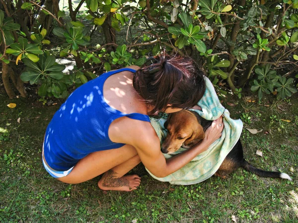 Dívka Pečující Svého Mazlíčka Sušení Štěně Beagle Pes Koupeli Sprcha — Stock fotografie